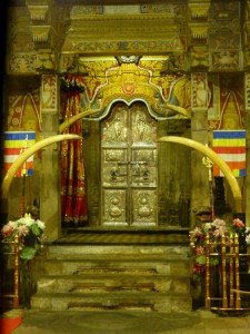 The entrance to the inner sanctuary. So much too look at you almost don't mind that there is no actual tooth to be seen.